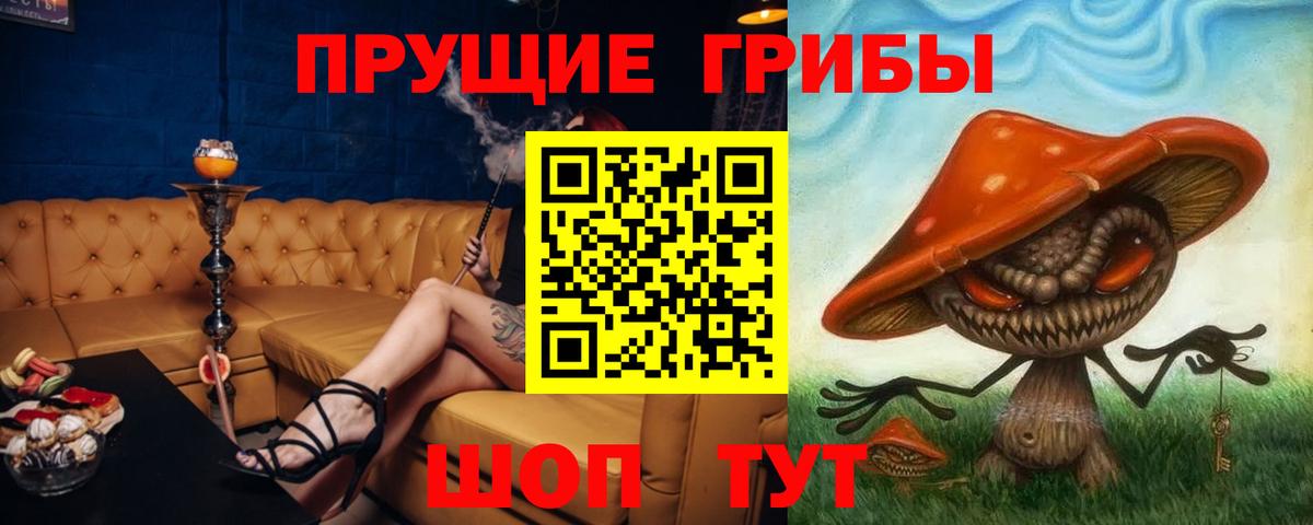 Псилоцибиновые грибы прущие грибы Заречный